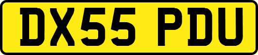 DX55PDU