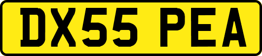 DX55PEA