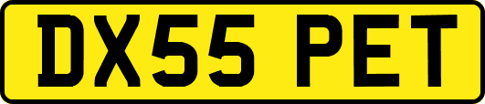 DX55PET
