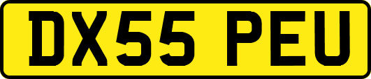 DX55PEU
