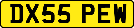 DX55PEW