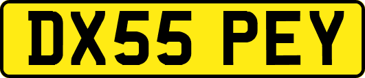 DX55PEY