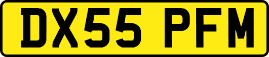 DX55PFM