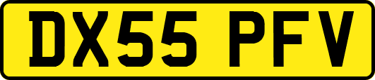 DX55PFV