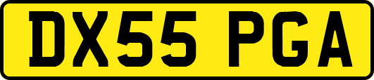 DX55PGA