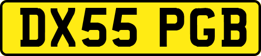 DX55PGB