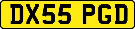 DX55PGD