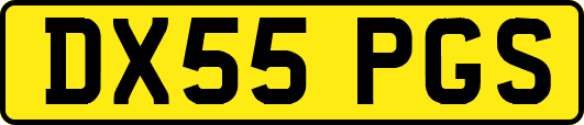 DX55PGS
