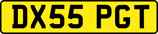 DX55PGT