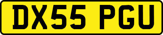 DX55PGU