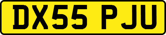 DX55PJU