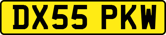 DX55PKW