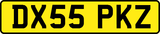 DX55PKZ