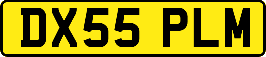 DX55PLM