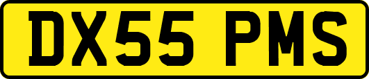 DX55PMS