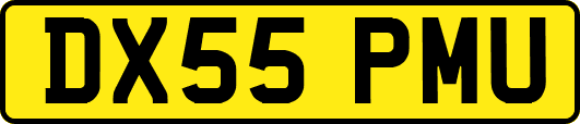 DX55PMU