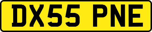 DX55PNE