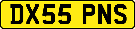 DX55PNS