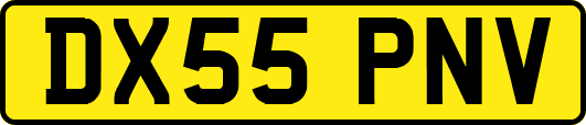 DX55PNV