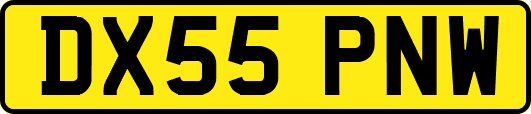 DX55PNW