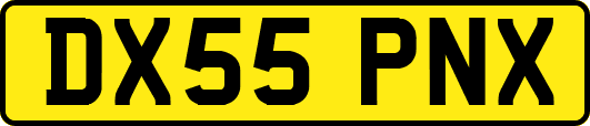 DX55PNX