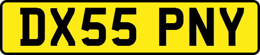 DX55PNY