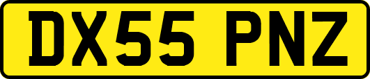 DX55PNZ