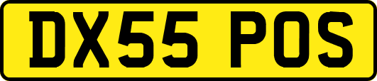 DX55POS