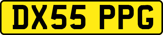 DX55PPG