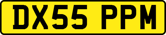 DX55PPM