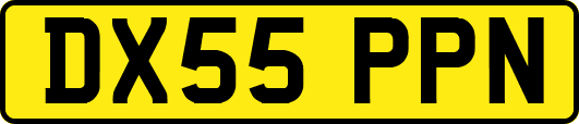 DX55PPN