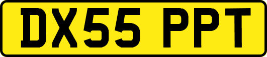 DX55PPT