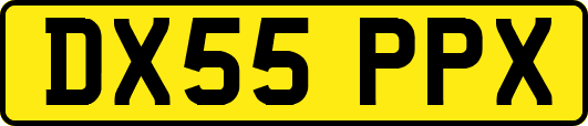 DX55PPX
