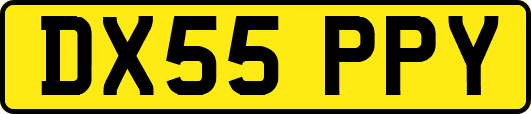 DX55PPY