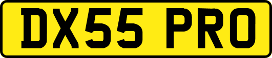 DX55PRO