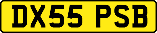 DX55PSB