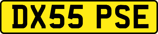 DX55PSE