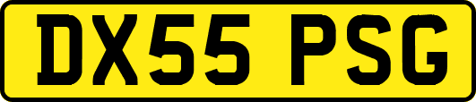 DX55PSG