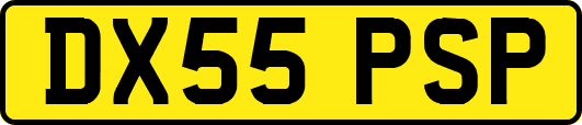 DX55PSP