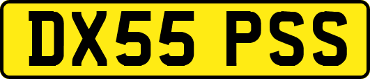 DX55PSS