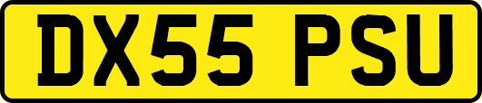 DX55PSU