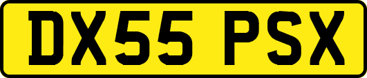 DX55PSX