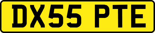 DX55PTE