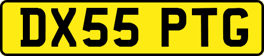 DX55PTG