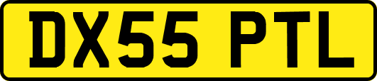 DX55PTL