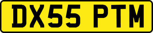 DX55PTM