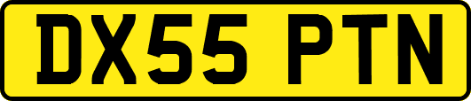 DX55PTN