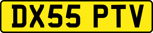 DX55PTV