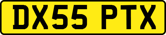 DX55PTX
