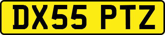DX55PTZ